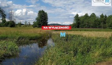 Działka leśna Korczyn