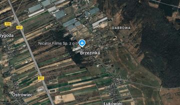 Działka budowlana Brzezinka