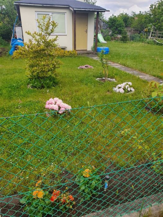 Działka rod Gdynia Babie Doły, ul. płk. Stanisława Dąbka. Zdjęcie 4