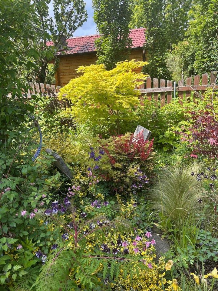 Działka rod Wrocław Ołtaszyn. Zdjęcie 4