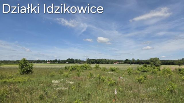 Działka rolna Idzikowice. Zdjęcie 1