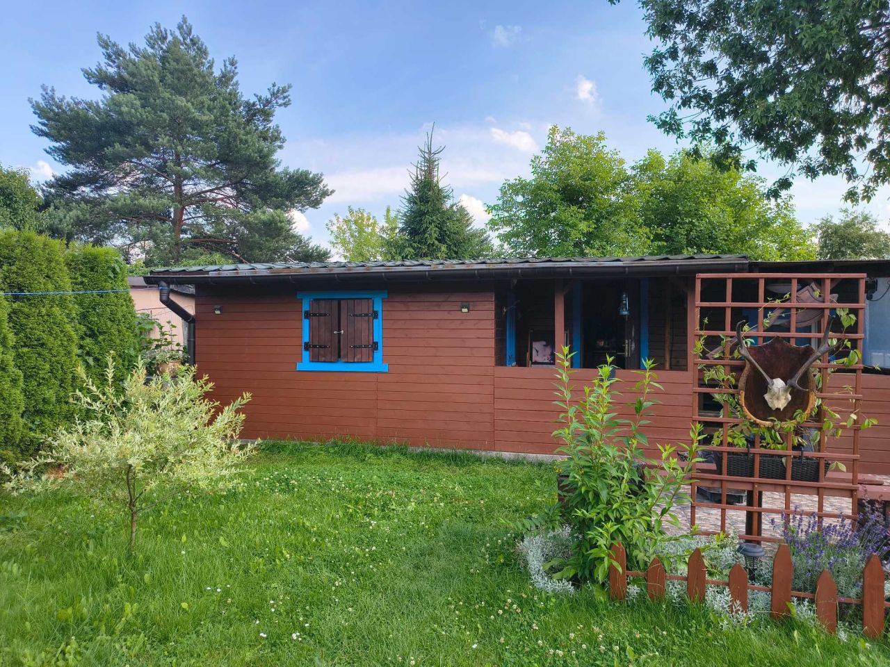 Działka rod Dąbrowa Górnicza. Zdjęcie 1
