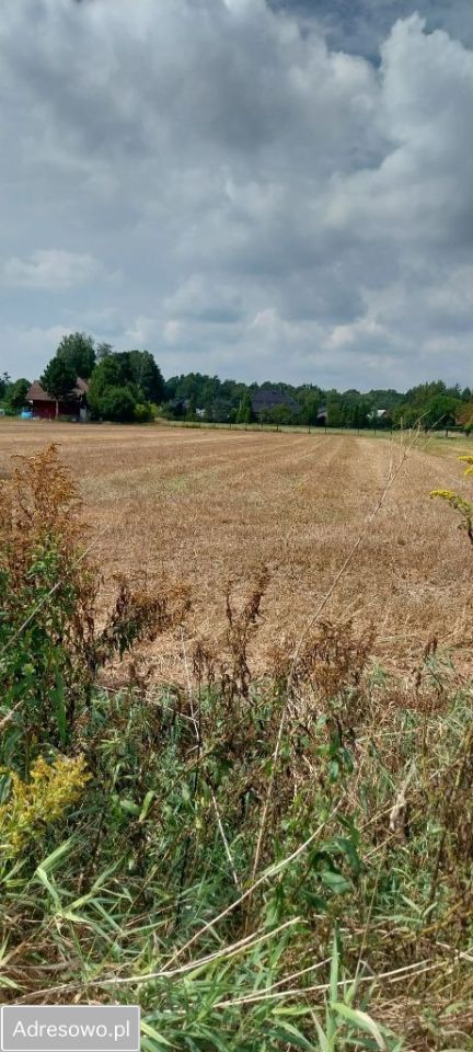 Działka budowlana Turawa Marszałki