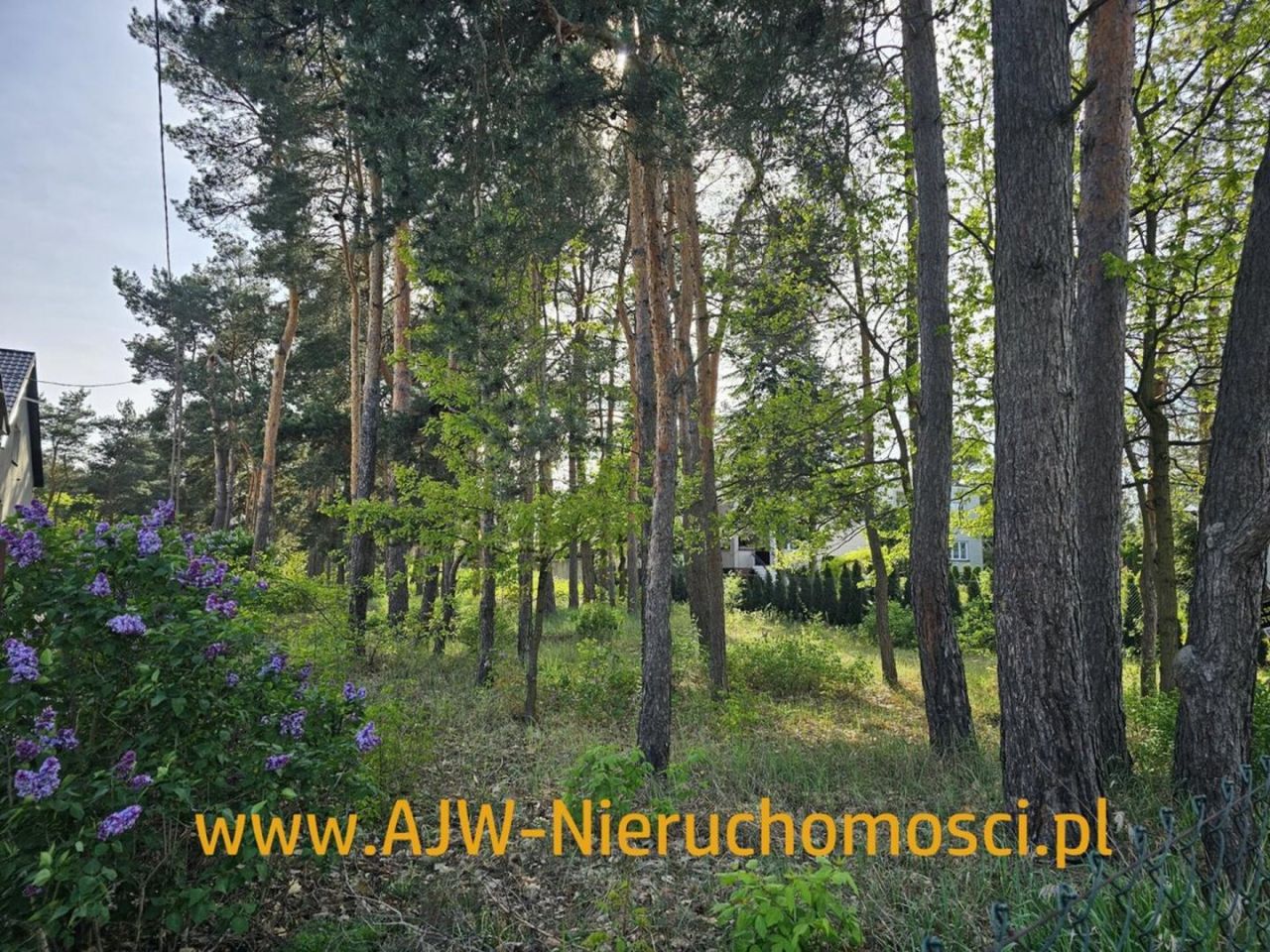 Działka budowlana Laski. Zdjęcie 4
