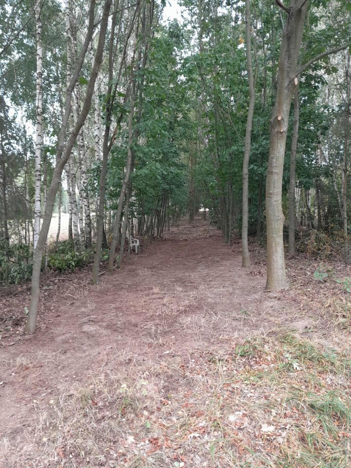 Działka rolno-budowlana Strzeszewo. Zdjęcie 2