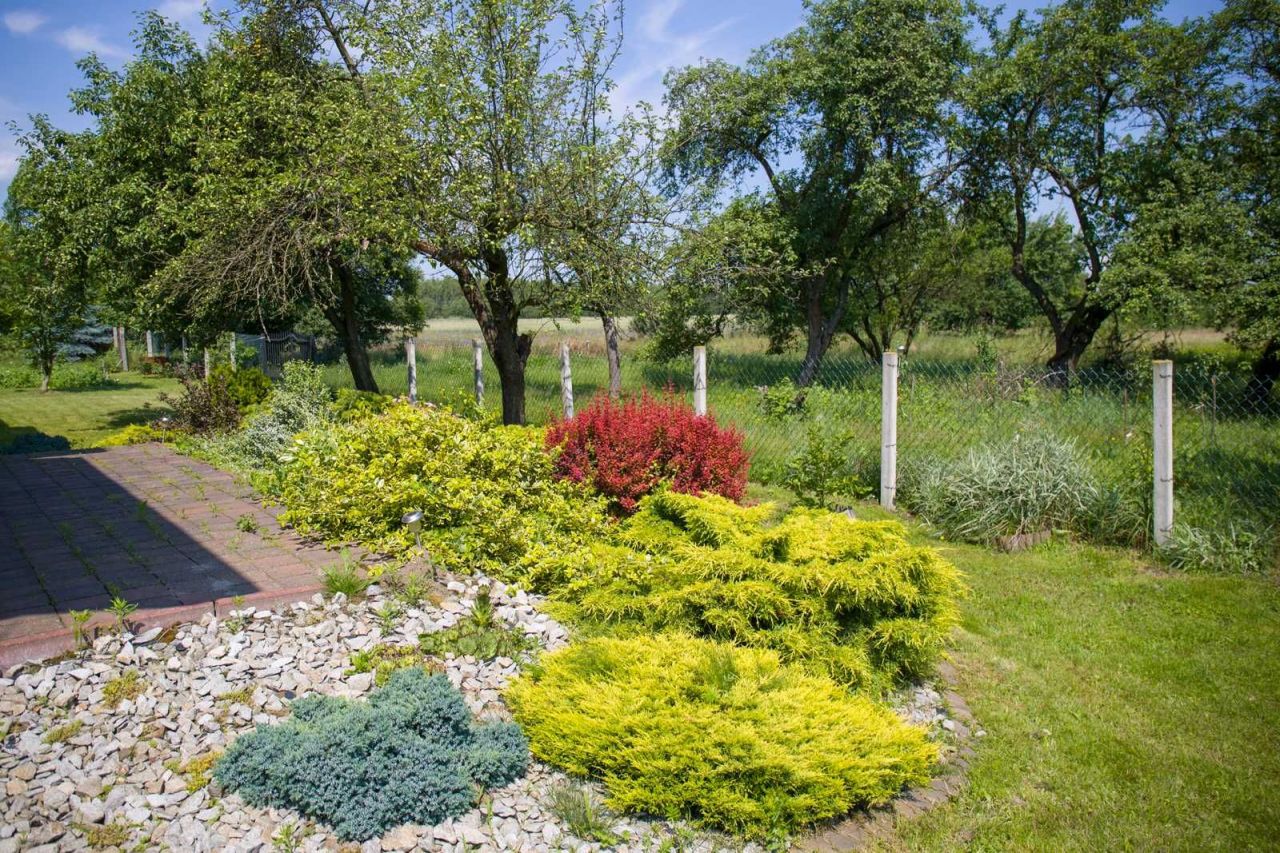 dom wolnostojący, 6 pokoi Polowa. Zdjęcie 6