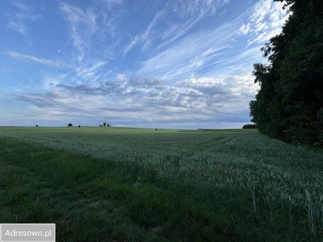 Działka rolna Szczeglacin. Zdjęcie 1