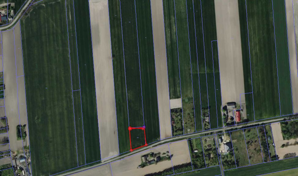 Działka budowlana Dąbrowice Dzięgost. Zdjęcie 2