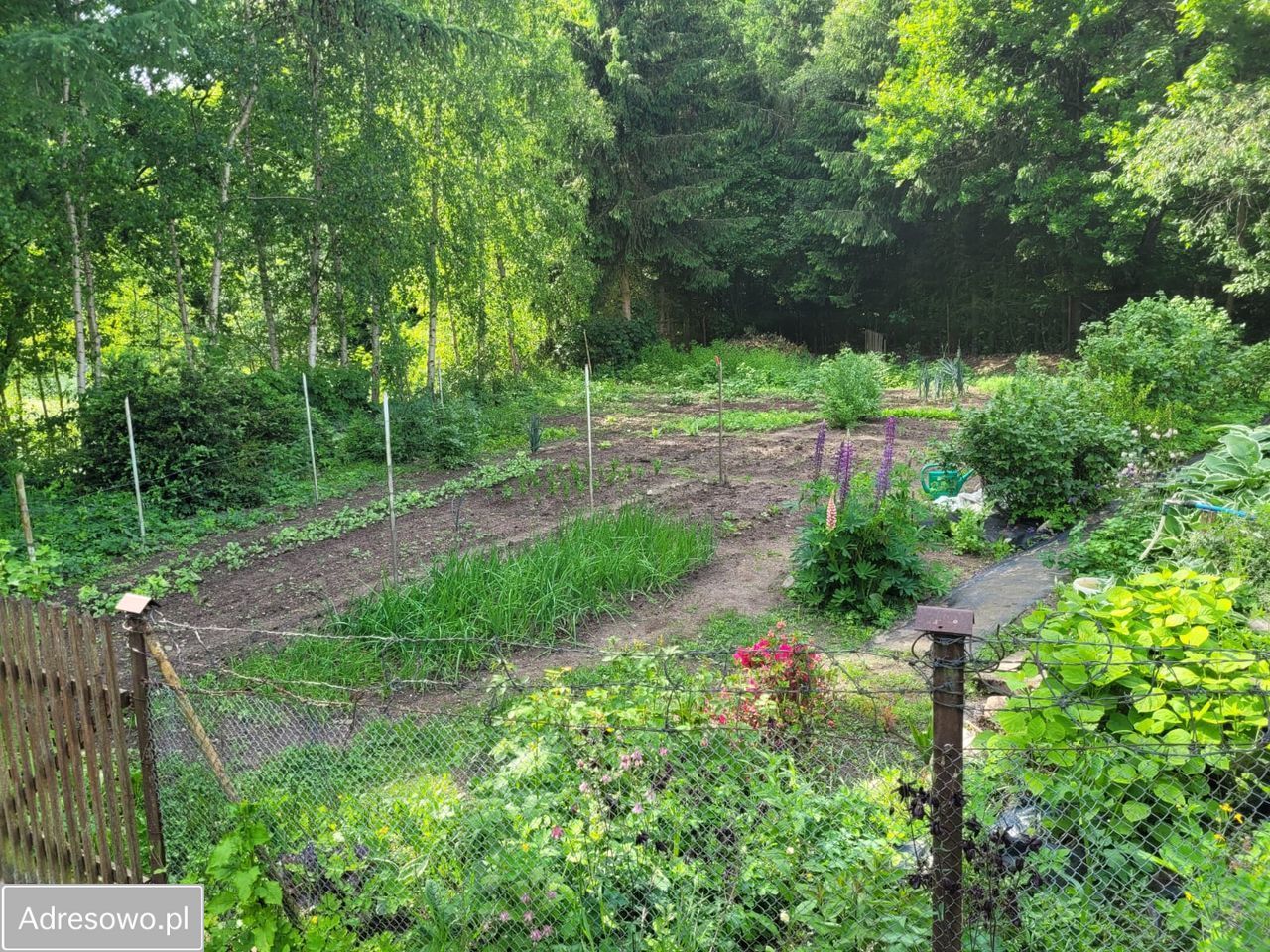 dom wolnostojący, 6 pokoi Bolegorzyn. Zdjęcie 9