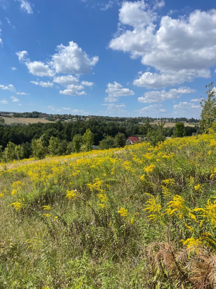 Działka budowlana Zamłynie. Zdjęcie 2