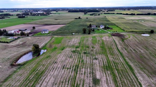 Działka siedliskowa Laseczno. Zdjęcie 11