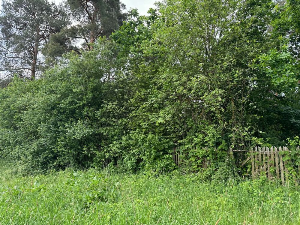Działka rekreacyjna Mogielnica. Zdjęcie 4
