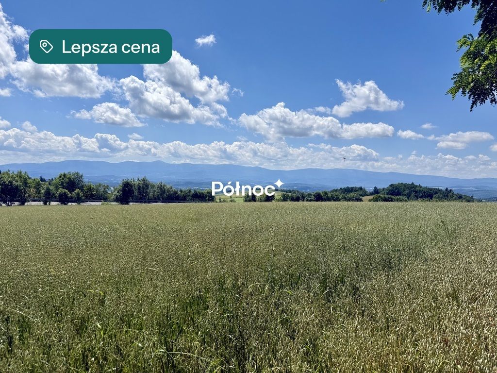 Działka budowlana Dziwiszów. Zdjęcie 5