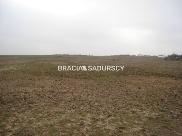 Działka inwestycyjna Morawica. Zdjęcie 1