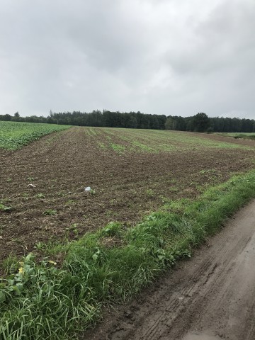 Działka rolna Trzebina. Zdjęcie 1