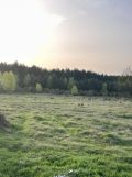 Działka budowlana Grabów nad Pilicą, ul. Kolonia Zbyszków. Zdjęcie 3