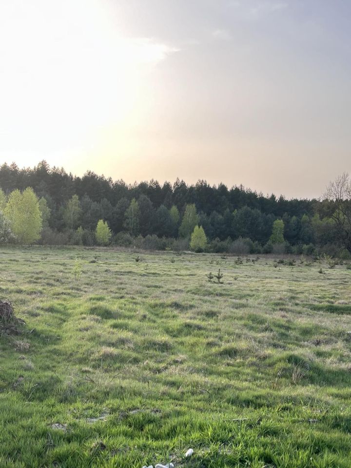 Działka budowlana Grabów nad Pilicą, ul. Kolonia Zbyszków. Zdjęcie 4