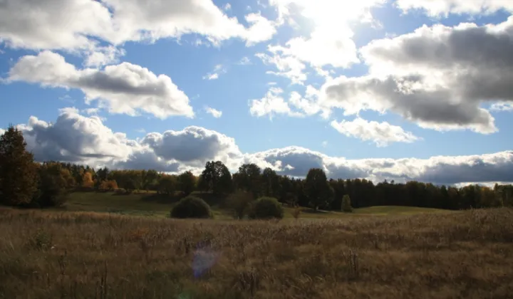 Działka rolna Sarnikierz