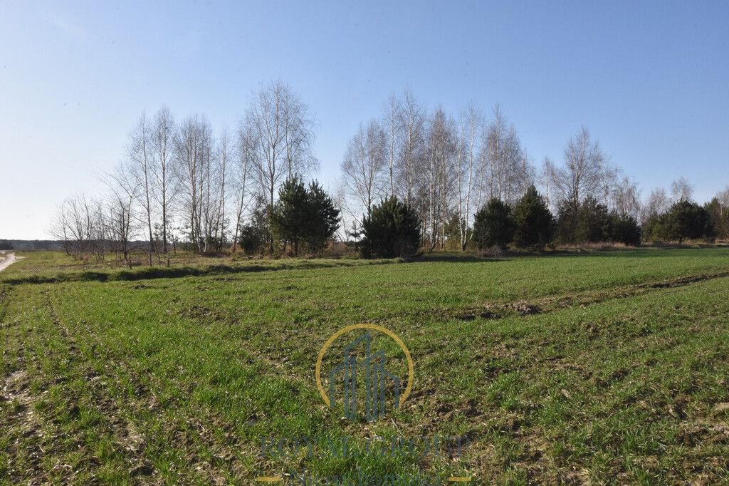 Działka Kunów. Zdjęcie 5