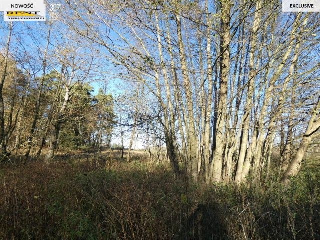 Działka rekreacyjna Krzywnica. Zdjęcie 14