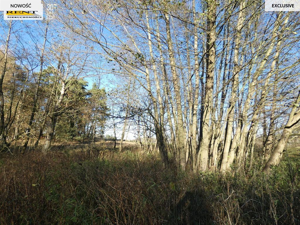 Działka rekreacyjna Krzywnica. Zdjęcie 14