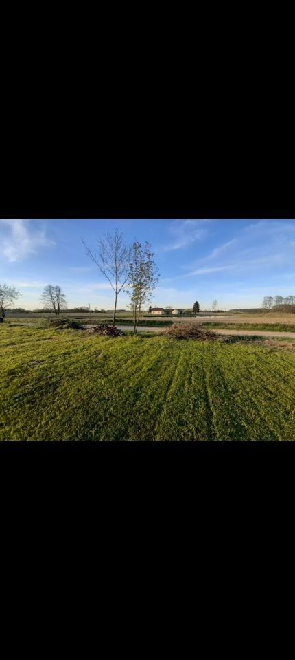 Działka rolno-budowlana Strzegocin. Zdjęcie 4