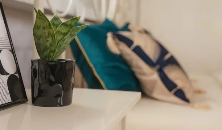 Mieszkanie 2-pokojowe Kraków Ruczaj, ul. gen. Stefana Grota-Roweckiego