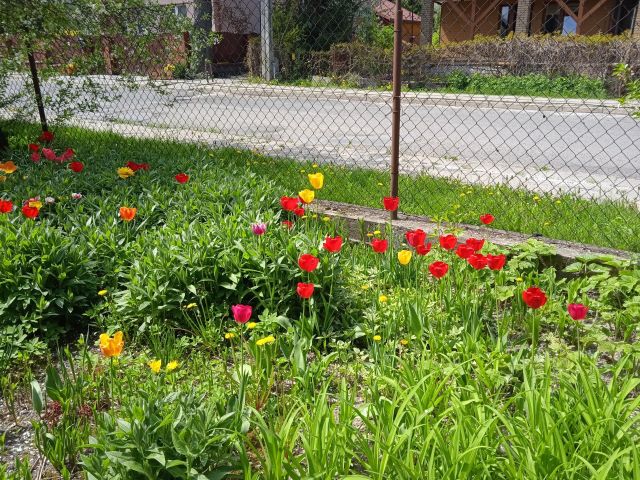 Działka budowlana Chełm, ul. Jana Kilińskiego. Zdjęcie 1