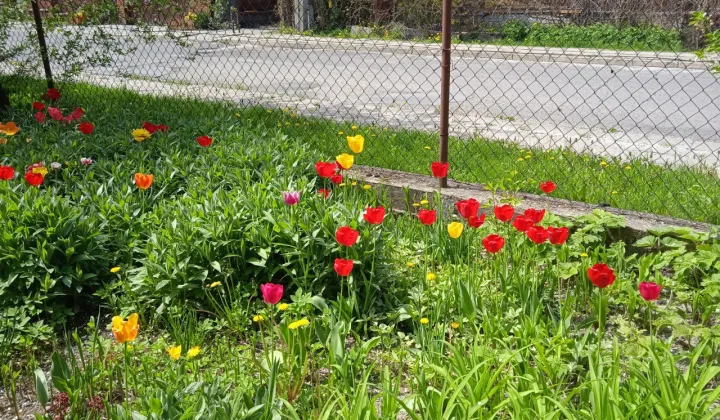 Działka budowlana Chełm, ul. Jana Kilińskiego