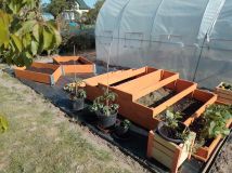 Działka rod Świdnik, ul. Działkowca. Zdjęcie 3