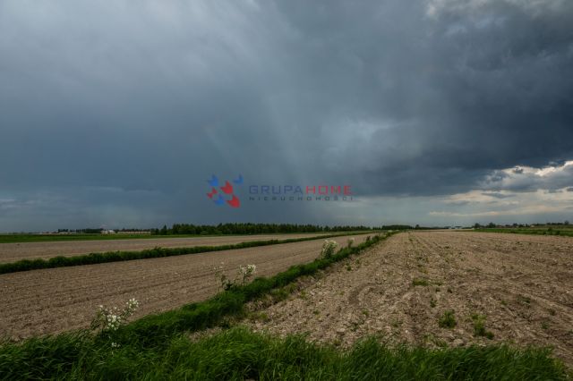 Działka rolna Lesznowola. Zdjęcie 2