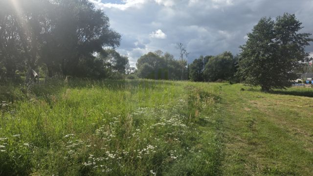 Działka inwestycyjna Jaktorów, ul. Błotna. Zdjęcie 12