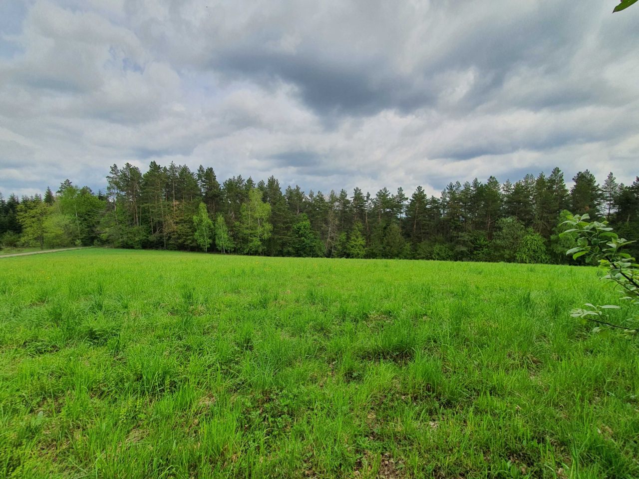 Działka rolno-budowlana Bereżnica Wyżna. Zdjęcie 6