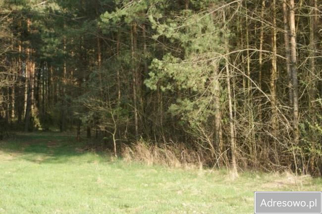 Działka rolno-budowlana Pasynki. Zdjęcie 6