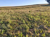 Działka budowlana Marcelin. Zdjęcie 3