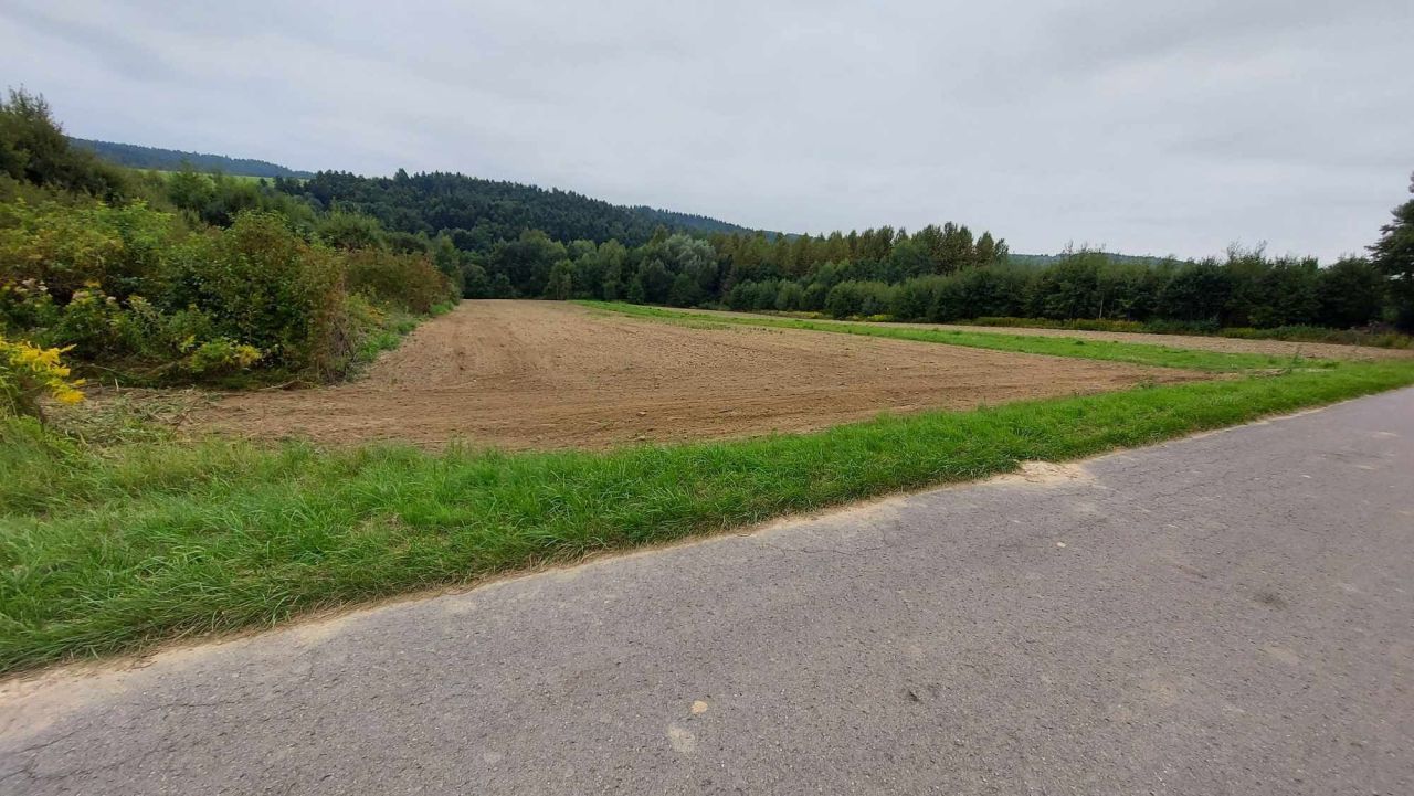 Działka rolno-budowlana Hyżne. Zdjęcie 2