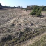 Działka budowlana Kowala Kowala Mała. Zdjęcie 3