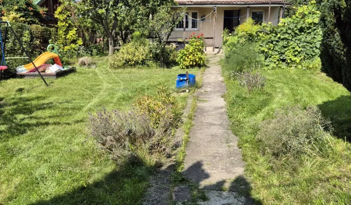 Działka rod Szczecin Golęcino, ul. Grochowa