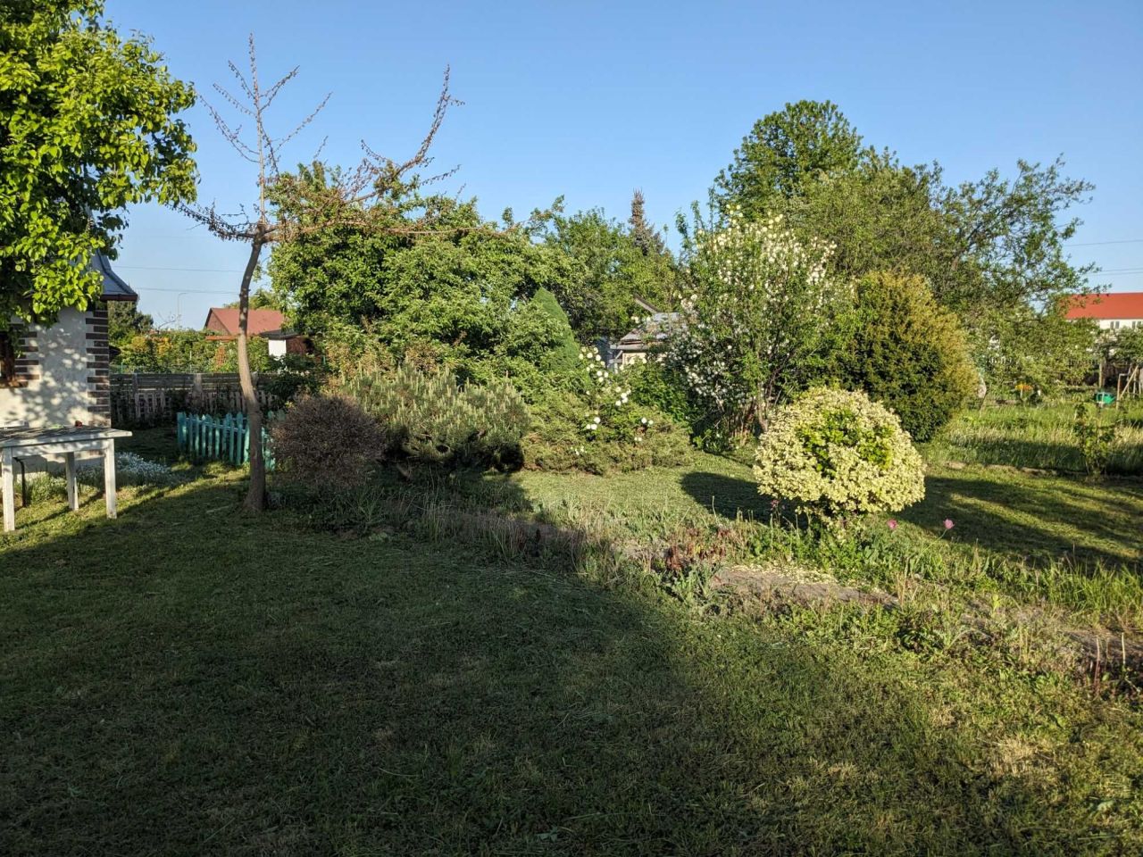 Działka rod Świdnica, ul. Pogodna. Zdjęcie 7