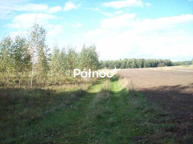 Działka rolna Janowicze. Zdjęcie 3