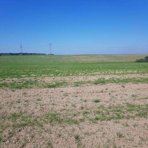 Działka budowlana Szczecin Bukowo, ul. Bukowska. Zdjęcie 1