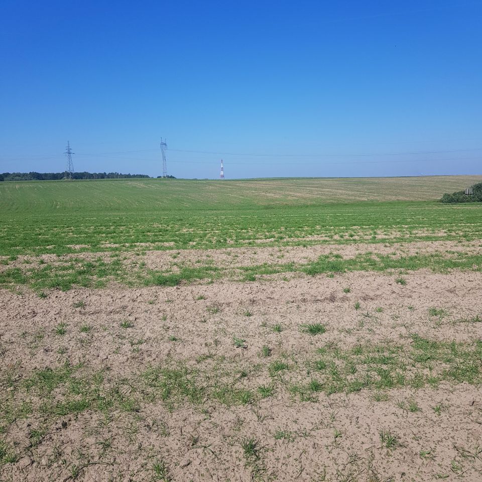 Działka budowlana Szczecin Bukowo, ul. Bukowska