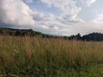 Działka rolna Wysoka. Zdjęcie 1