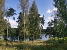 Działka leśna Garbas Drugi. Zdjęcie 3