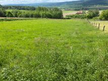 Działka rolno-budowlana Nienadowa. Zdjęcie 4