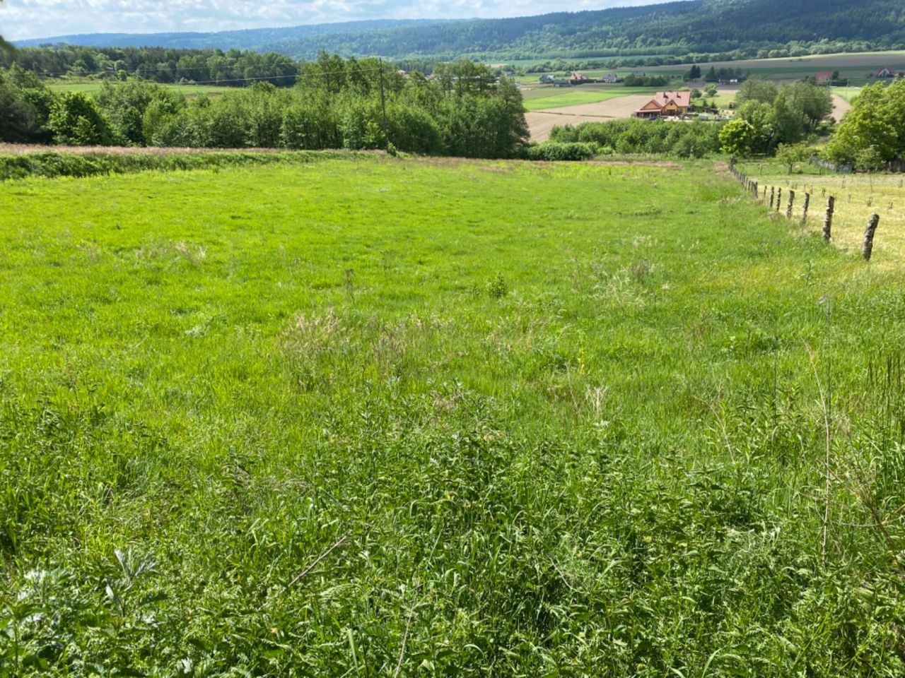 Działka rolno-budowlana Nienadowa. Zdjęcie 5