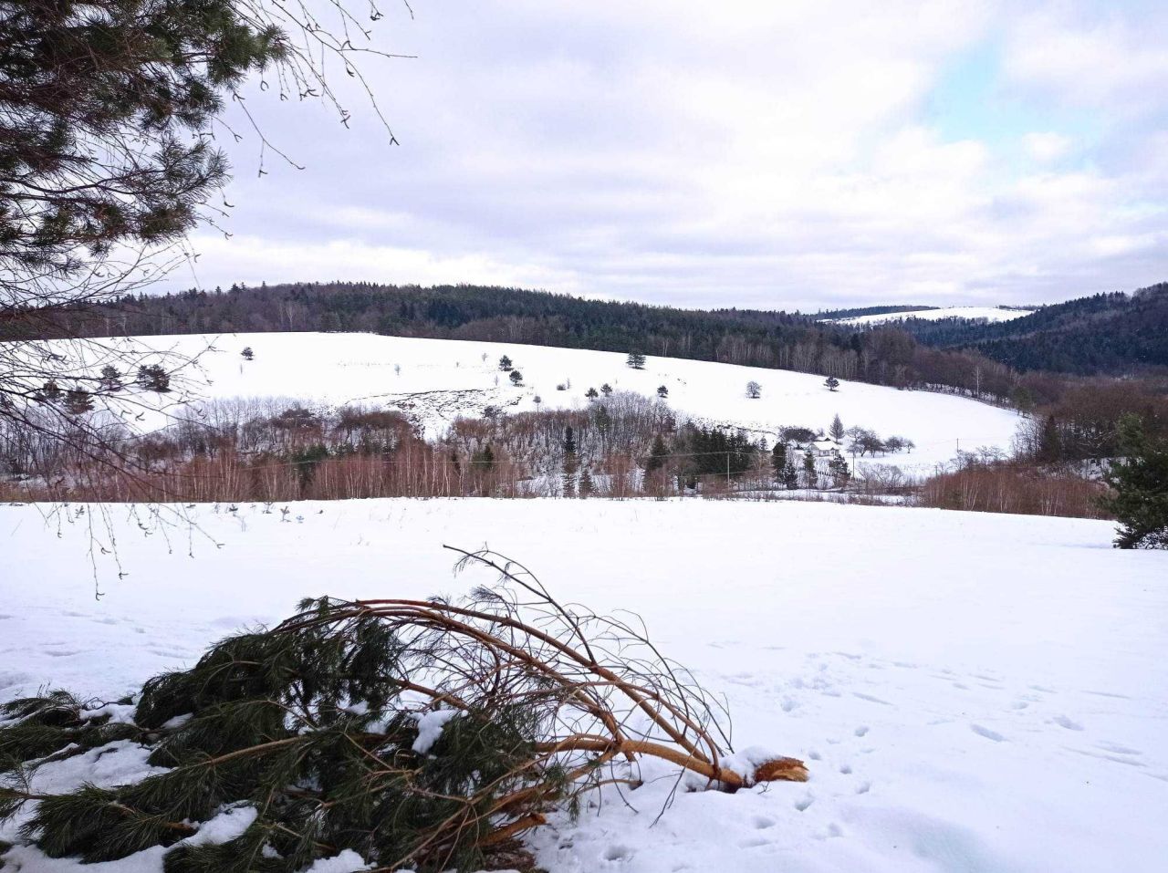 Działka rolna Brzuska. Zdjęcie 8