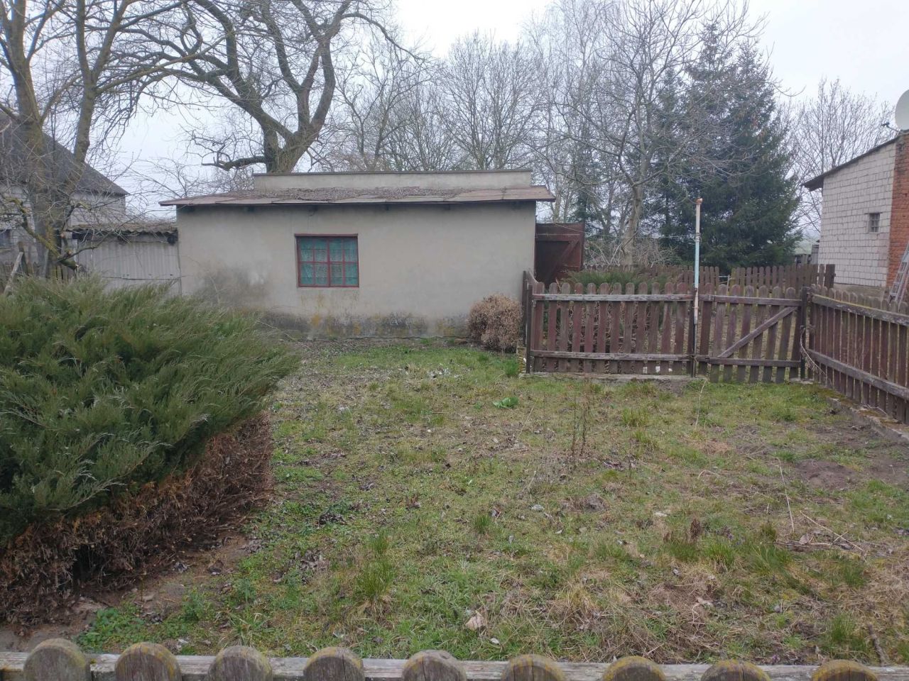 bliźniak Rybowo. Zdjęcie 6