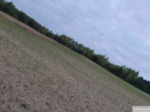 Działka rolna Graniczna Wieś, ul. Jarzębinowa. Zdjęcie 3