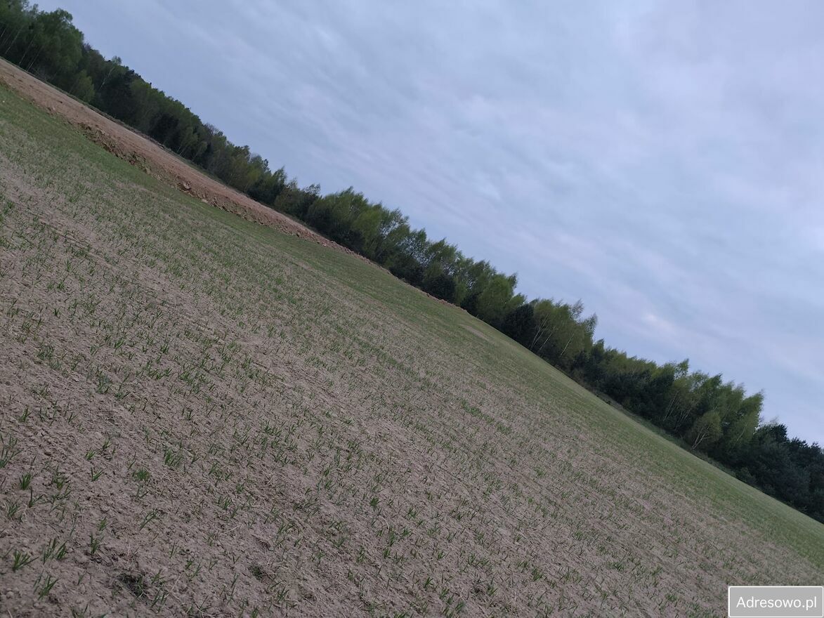 Działka rolna Graniczna Wieś, ul. Jarzębinowa. Zdjęcie 4